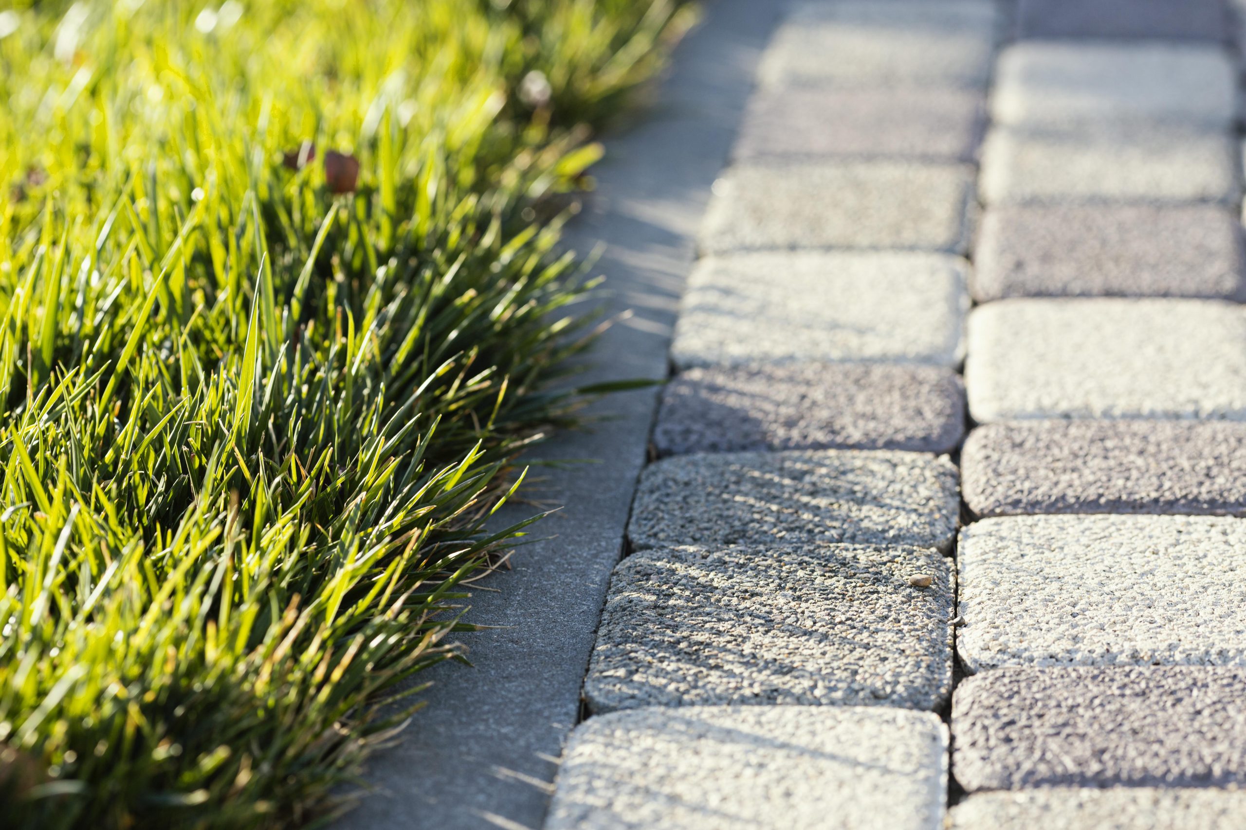 Paver border and joint sand detail after sealing